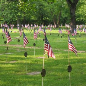 flags on the grass